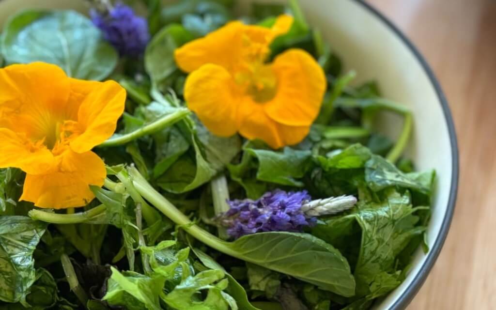 meal image