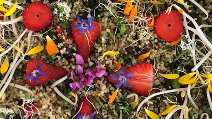 meal image