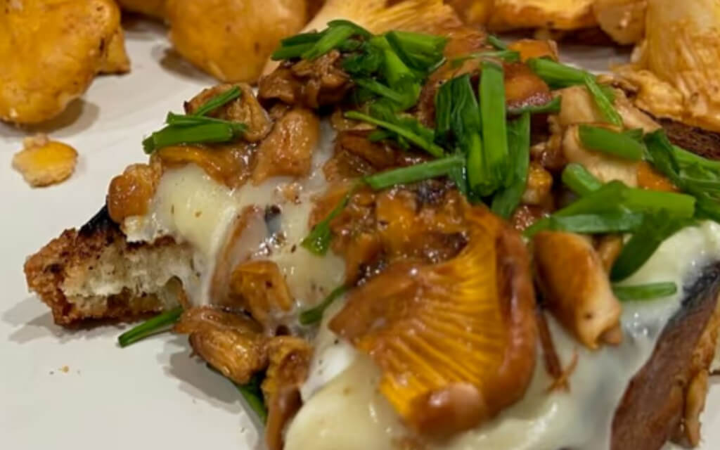 meal image