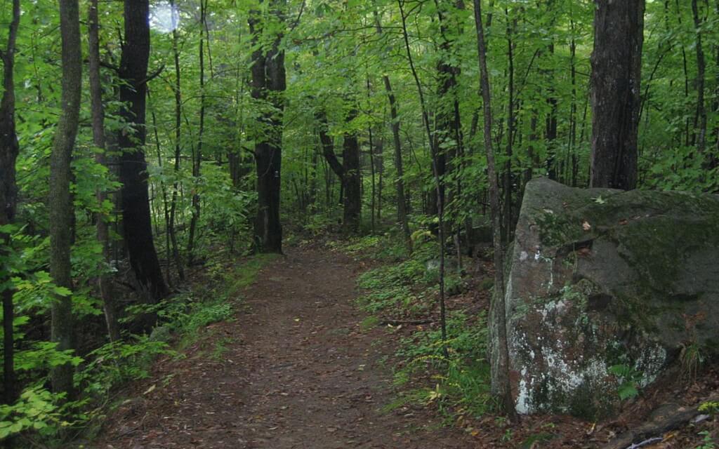 Embodied Thriving: Expanding Nervous System Resiliency