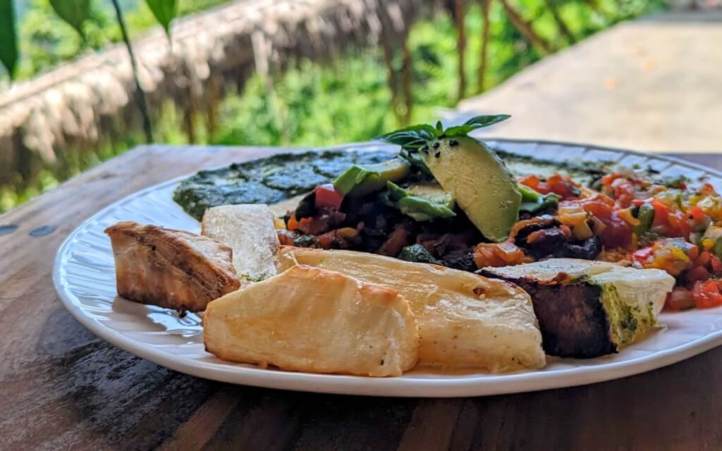 meal image