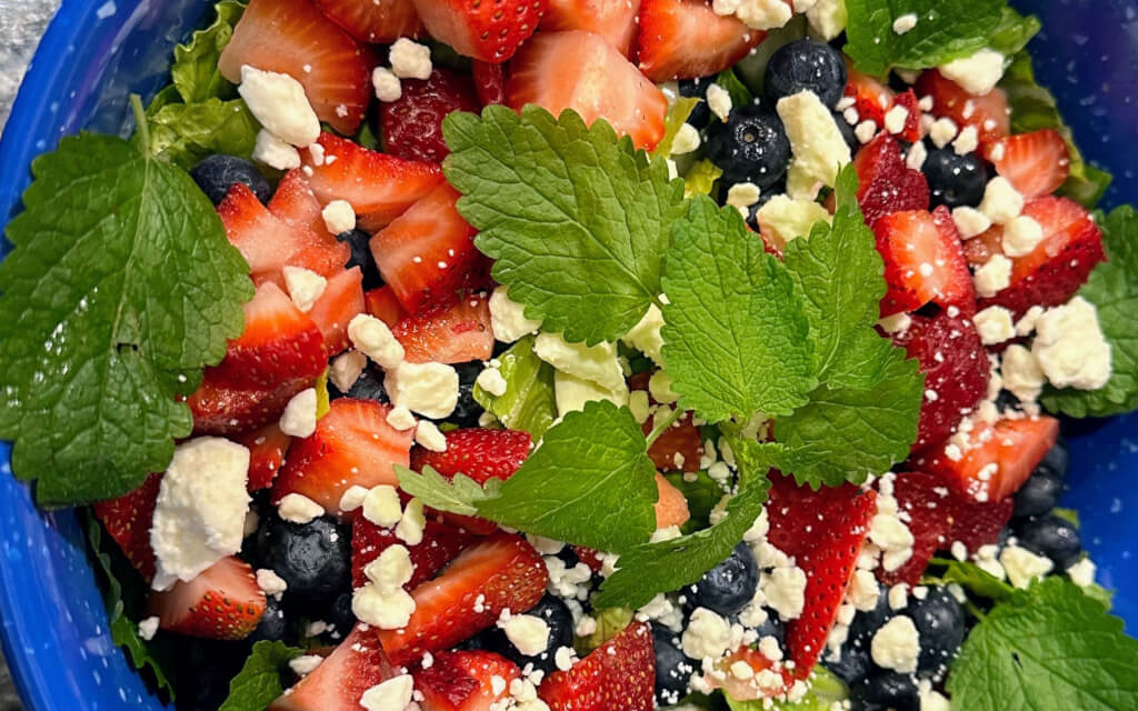 meal image