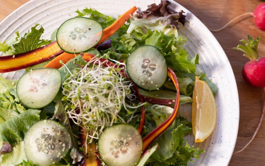 meal image