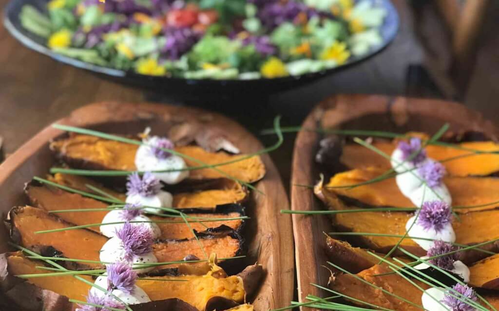 meal image