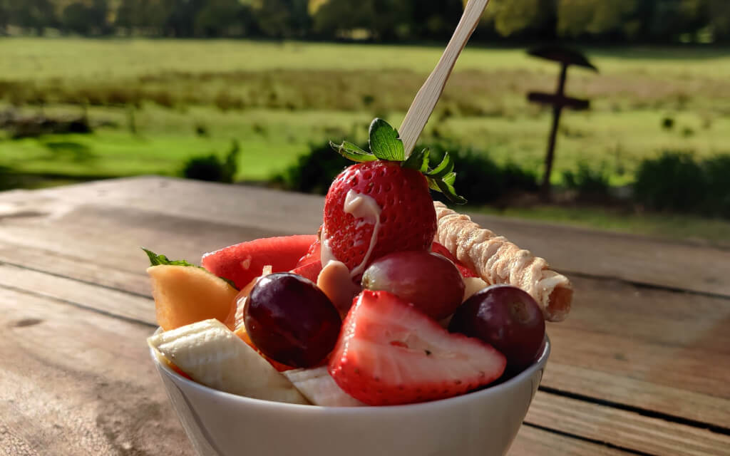 meal image